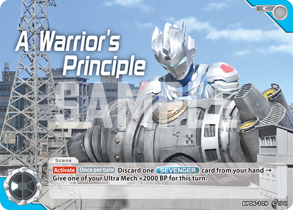 A Warrior's Principle